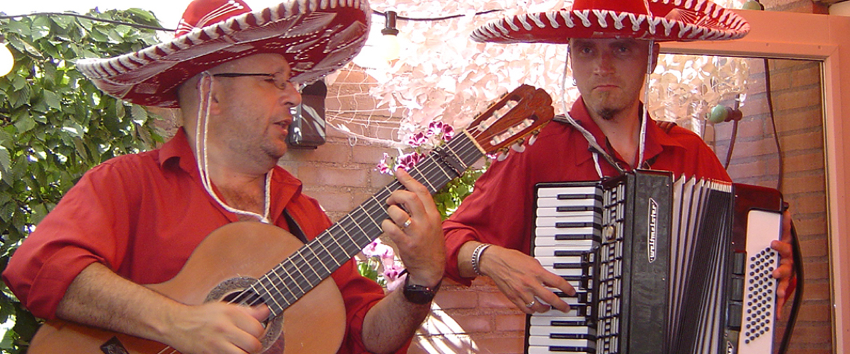 Spaanse en Latijnsamerikaanse Muziek Duo